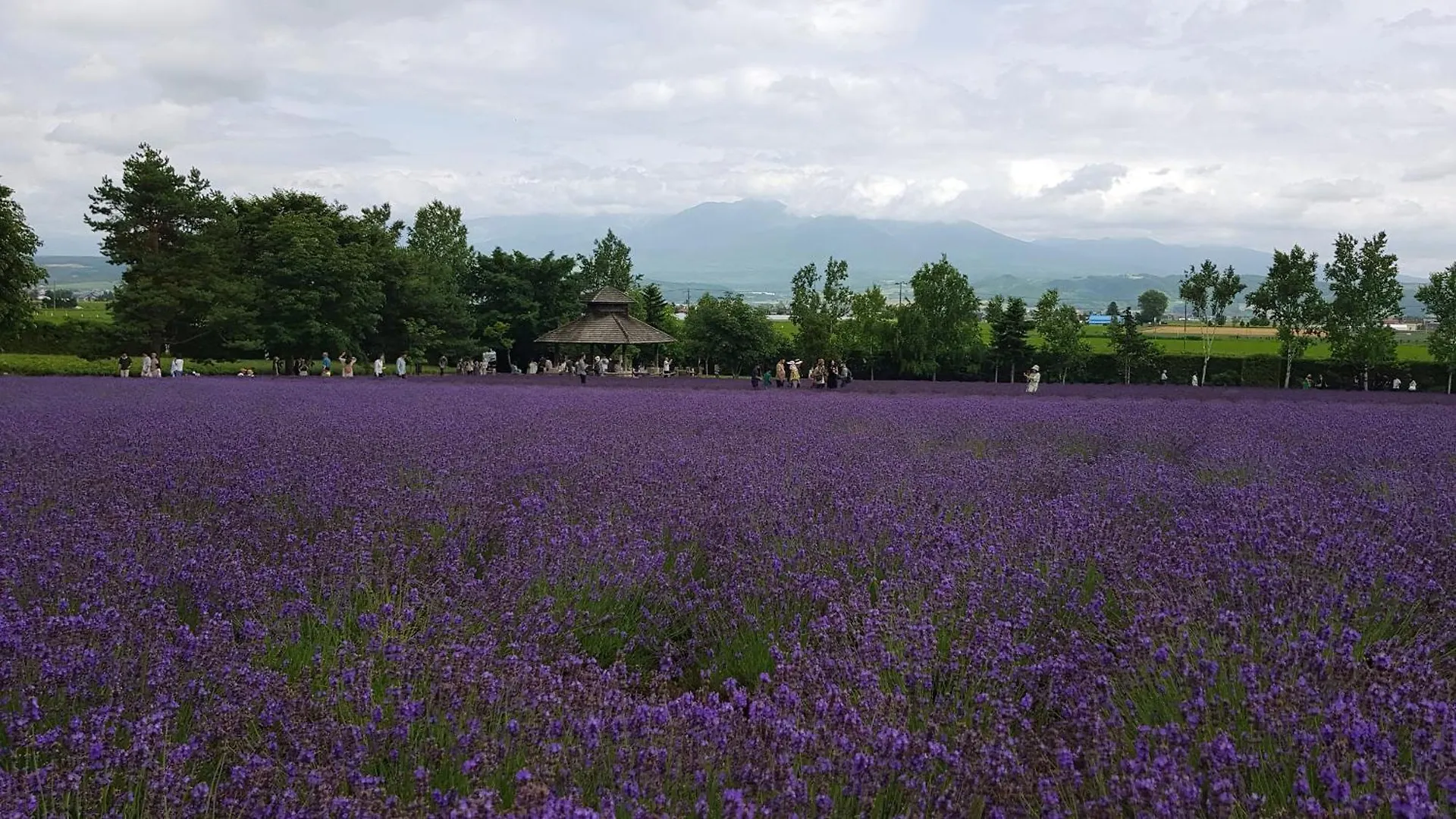 ** Nocleg ze śniadaniem Furano B&B Japonia