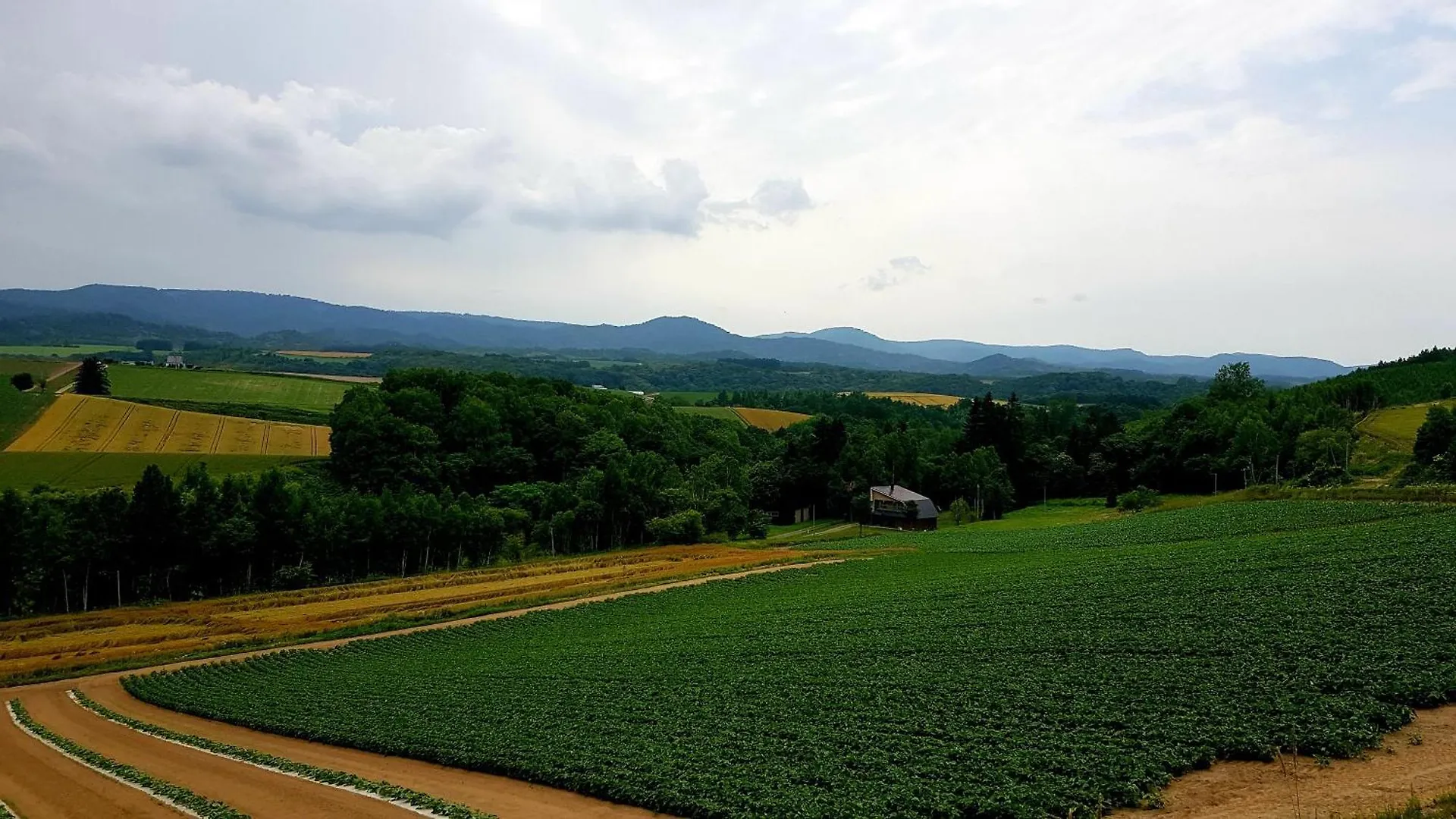 Furano B&B