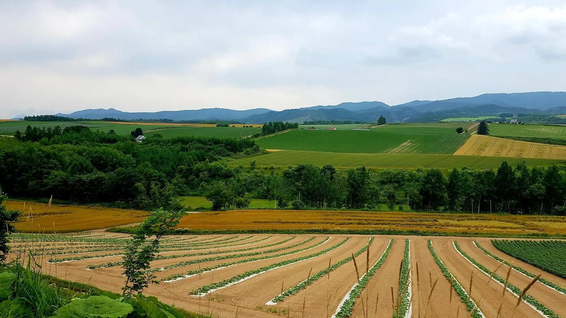 Furano B&B
