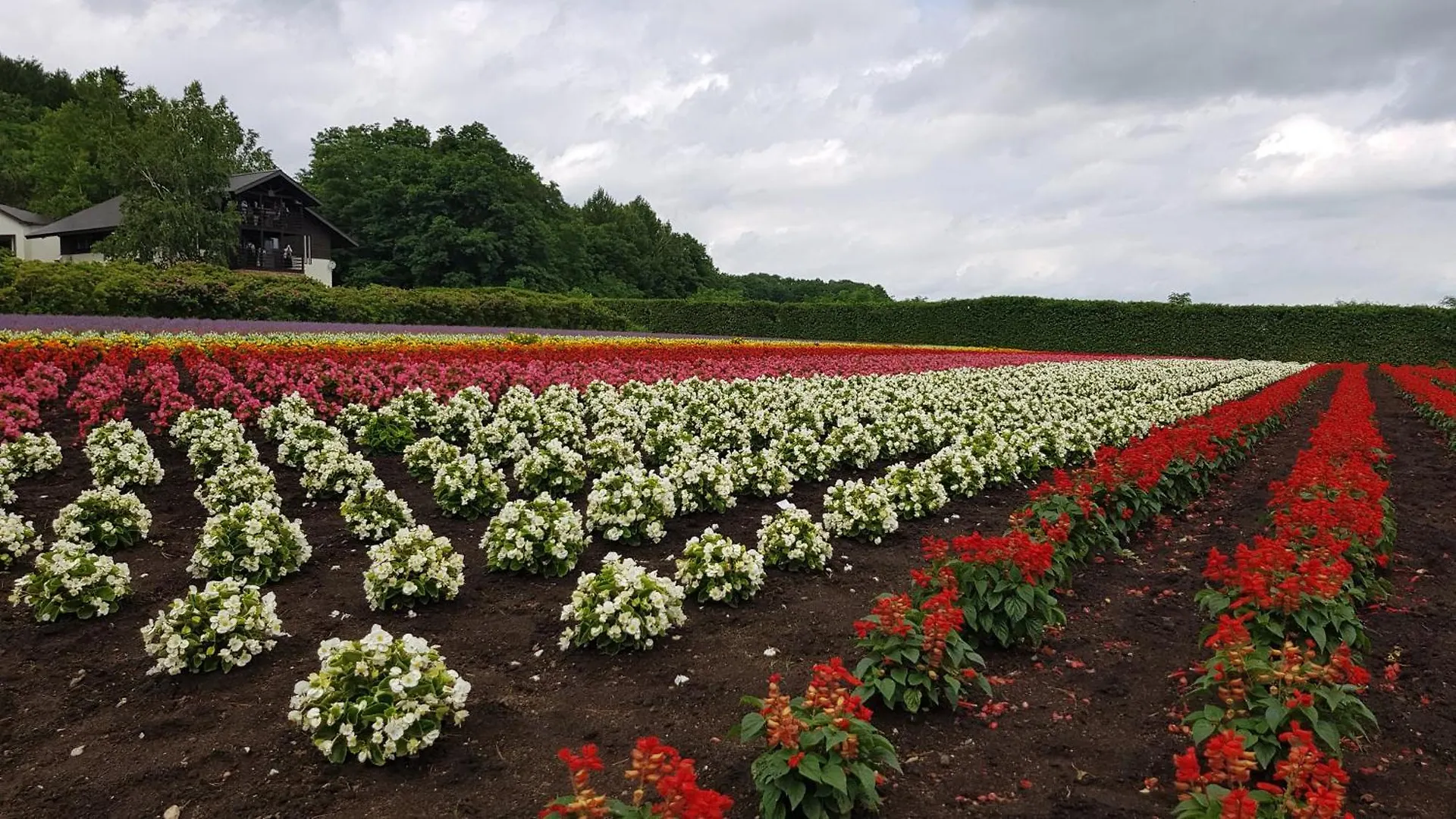 Furano B&B 2*,